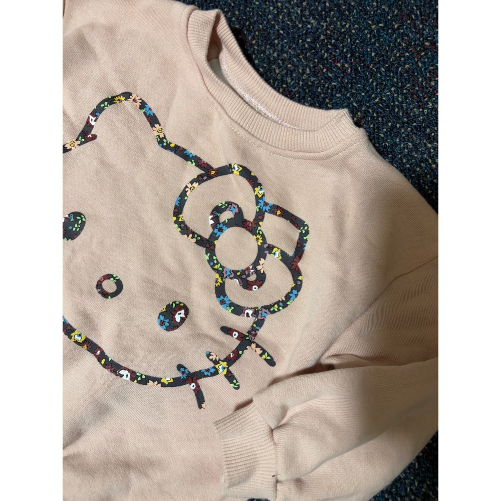Zara Kids Hello Kitty Floral Graphic Sweatshirt Pink Size 12-18 Months 86cm